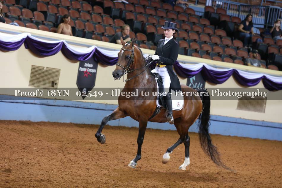 Proof 18YN_02549