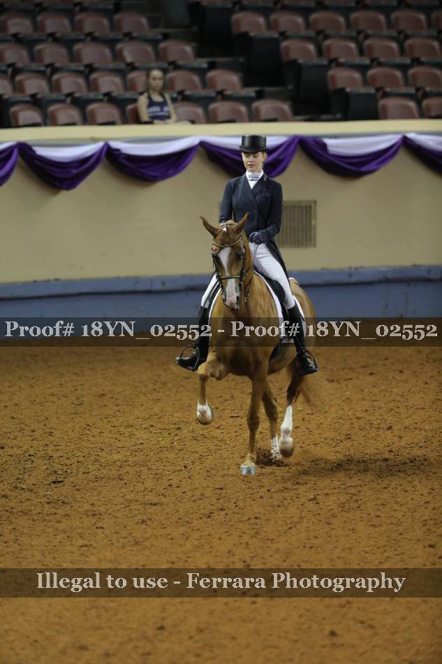 Proof 18YN_02552