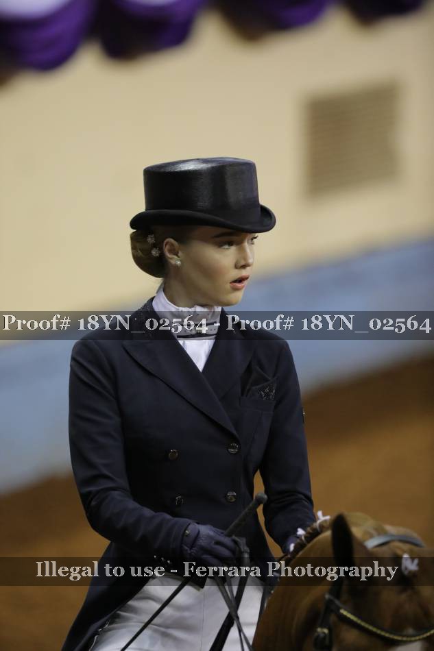 Proof 18YN_02564