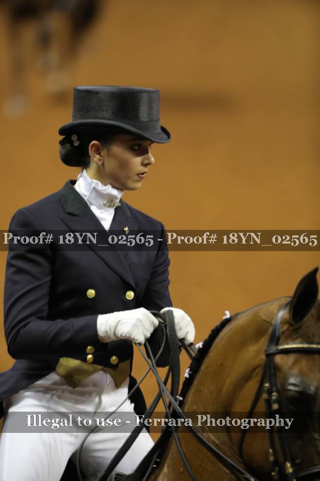 Proof 18YN_02565