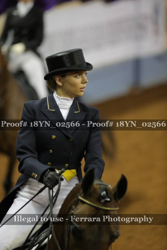 Proof 18YN_02566