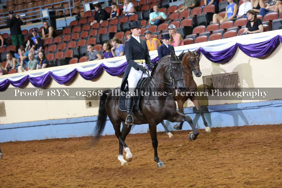 Proof 18YN_02568