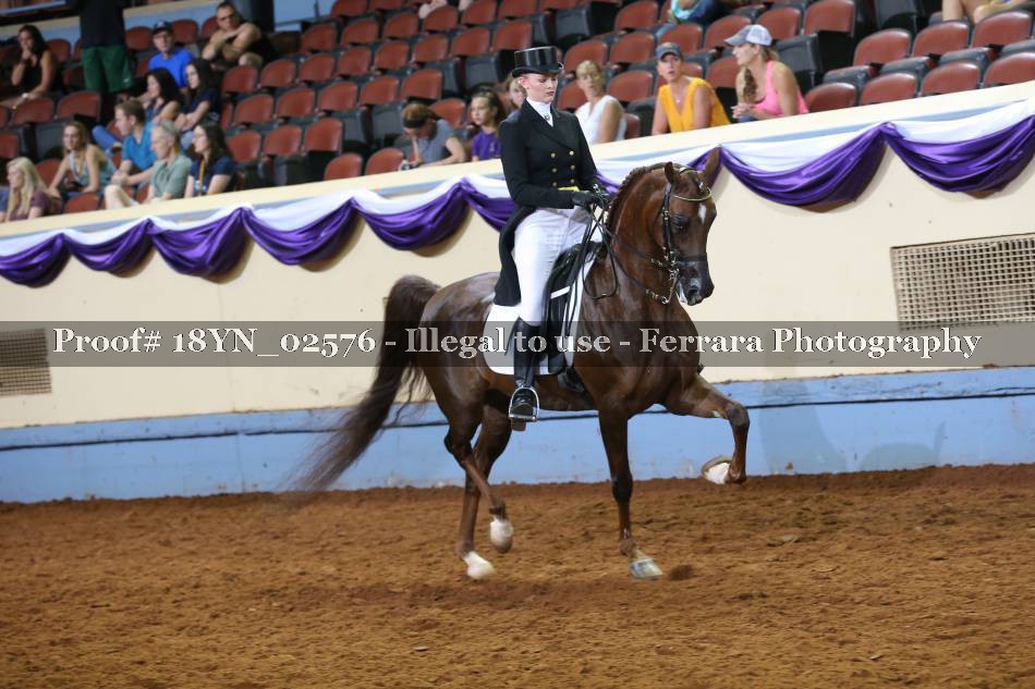 Proof 18YN_02576