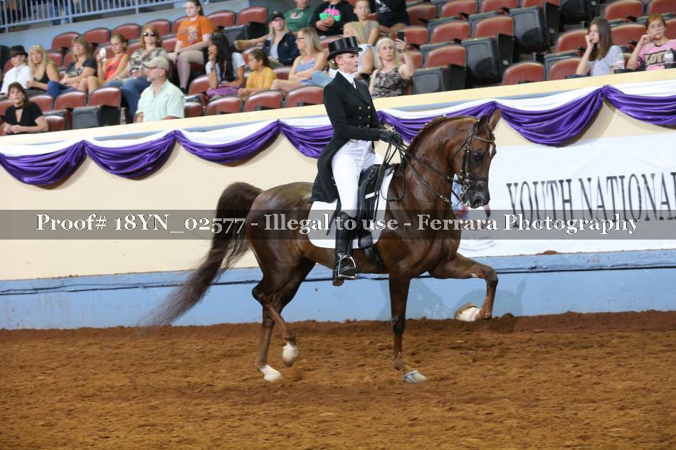 Proof 18YN_02577