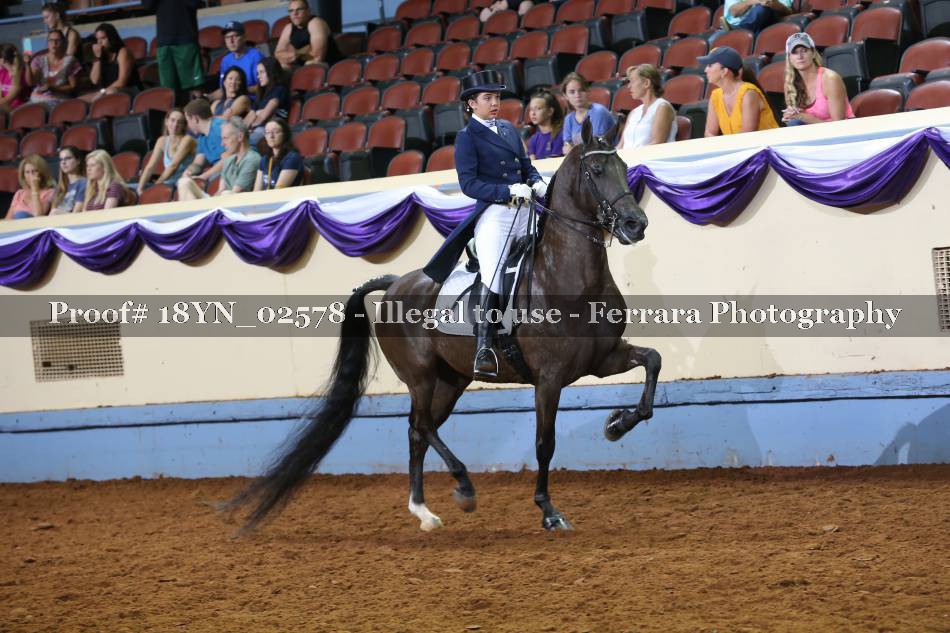 Proof 18YN_02578