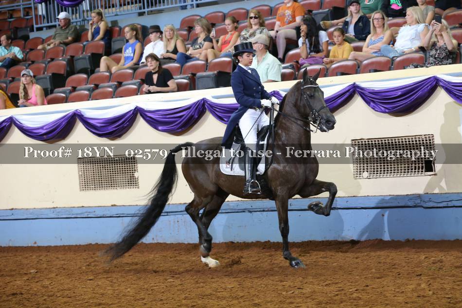 Proof 18YN_02579