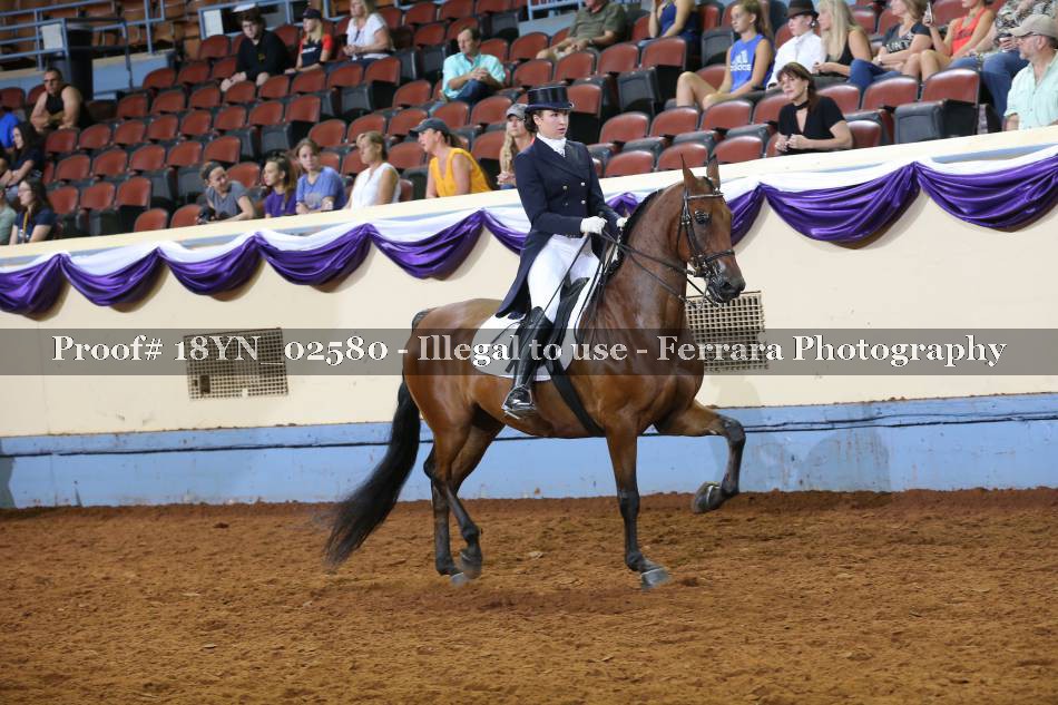 Proof 18YN_02580