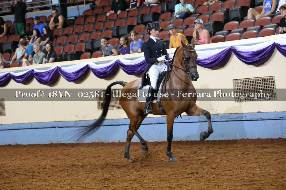 Proof 18YN_02581