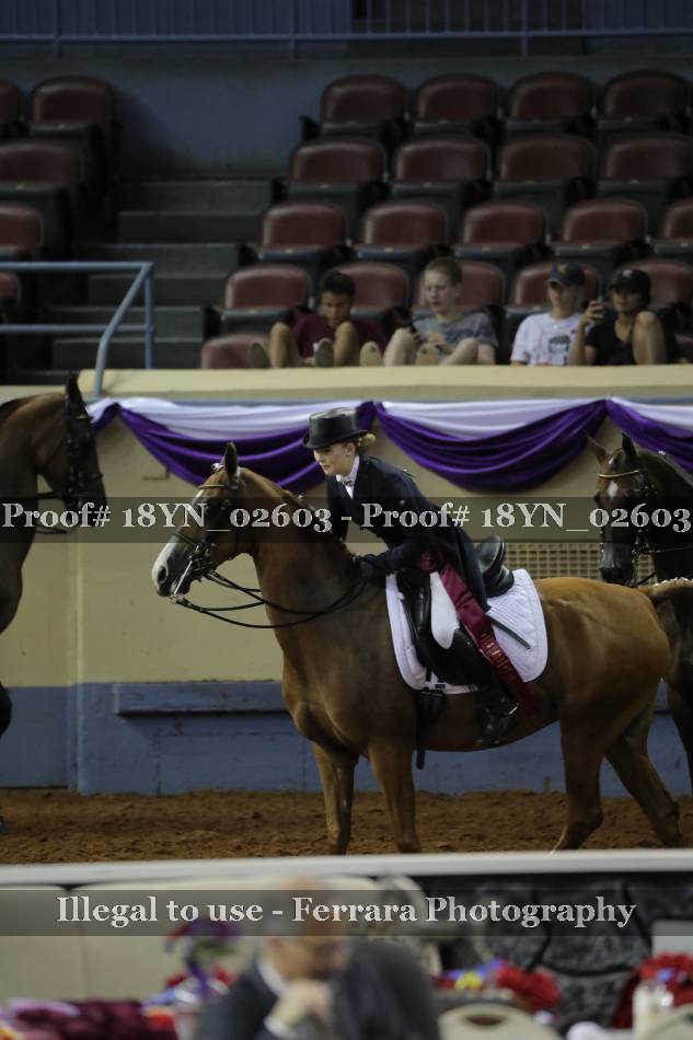 Proof 18YN_02603