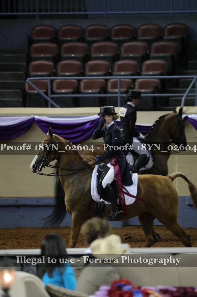 Proof 18YN_02604