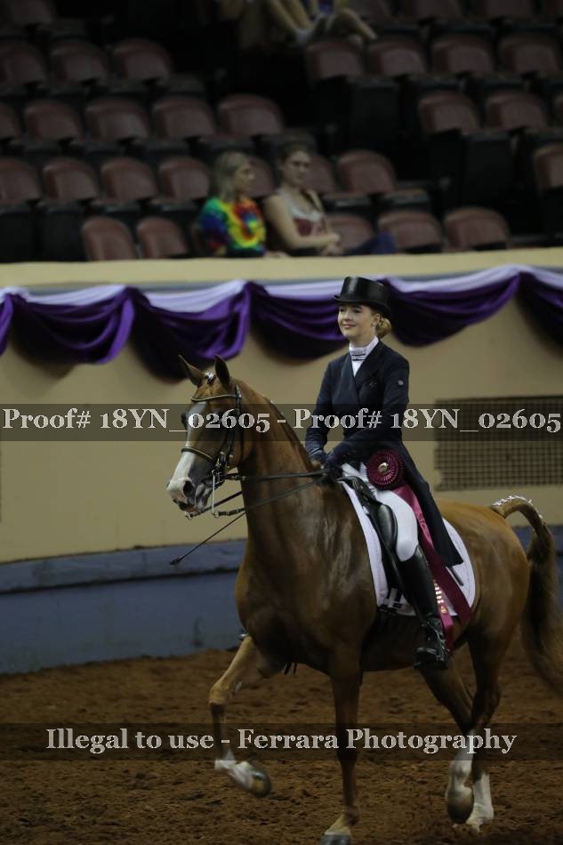 Proof 18YN_02605