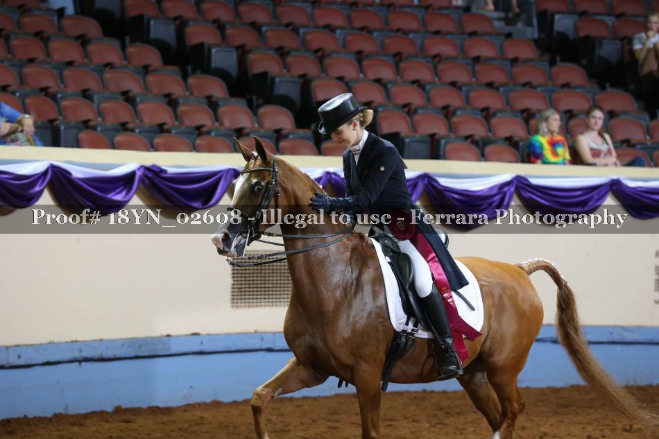 Proof 18YN_02608