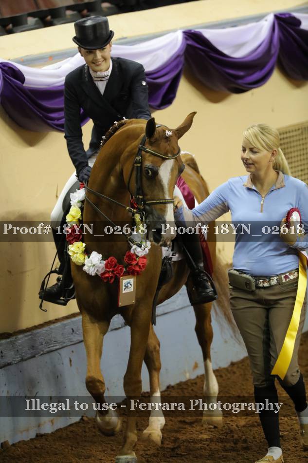 Proof 18YN_02618