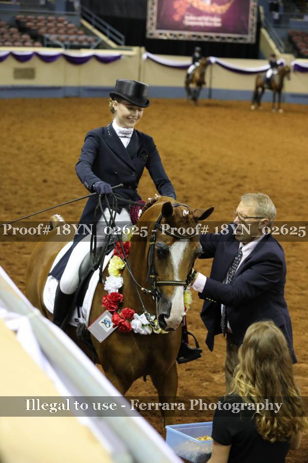 Proof 18YN_02625