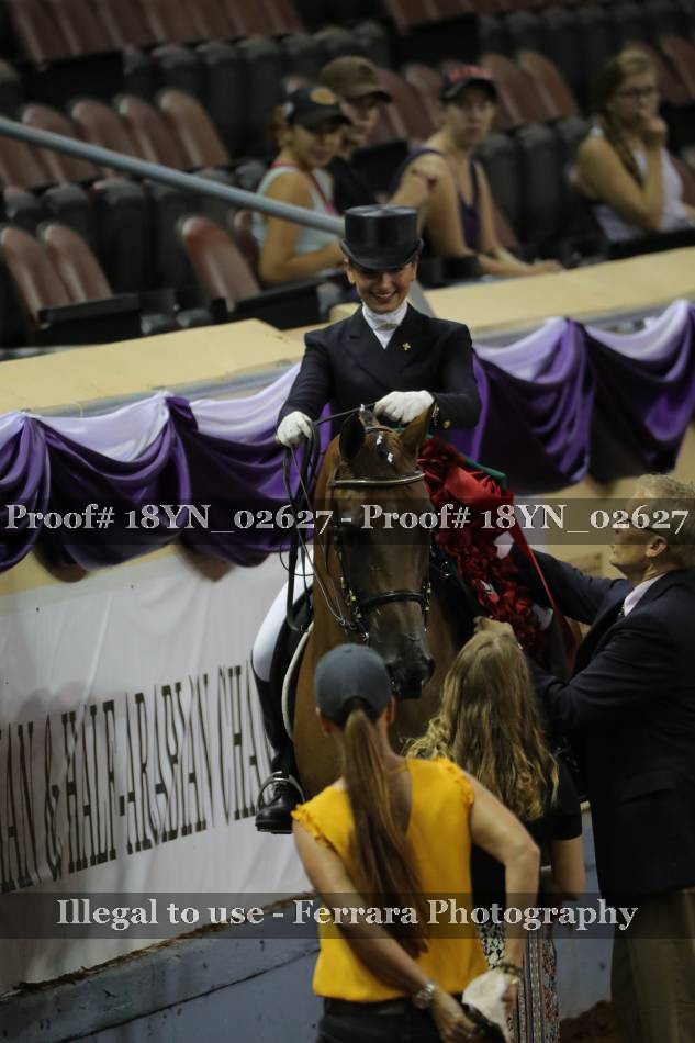 Proof 18YN_02627