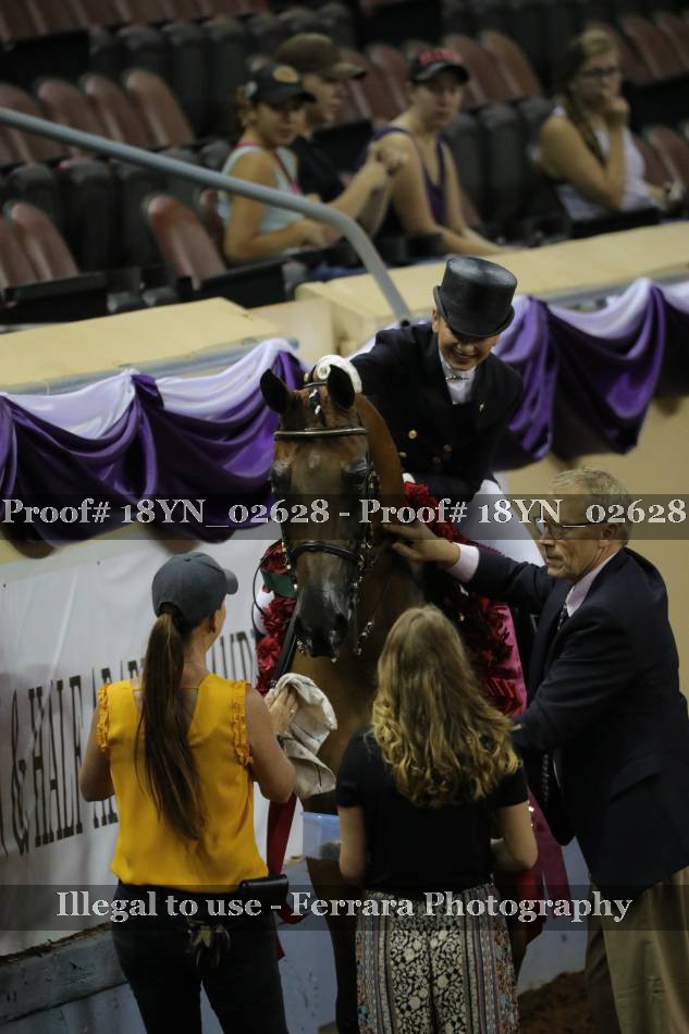 Proof 18YN_02628