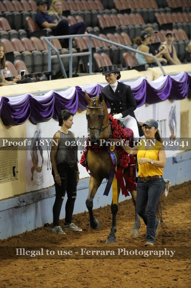 Proof 18YN_02641