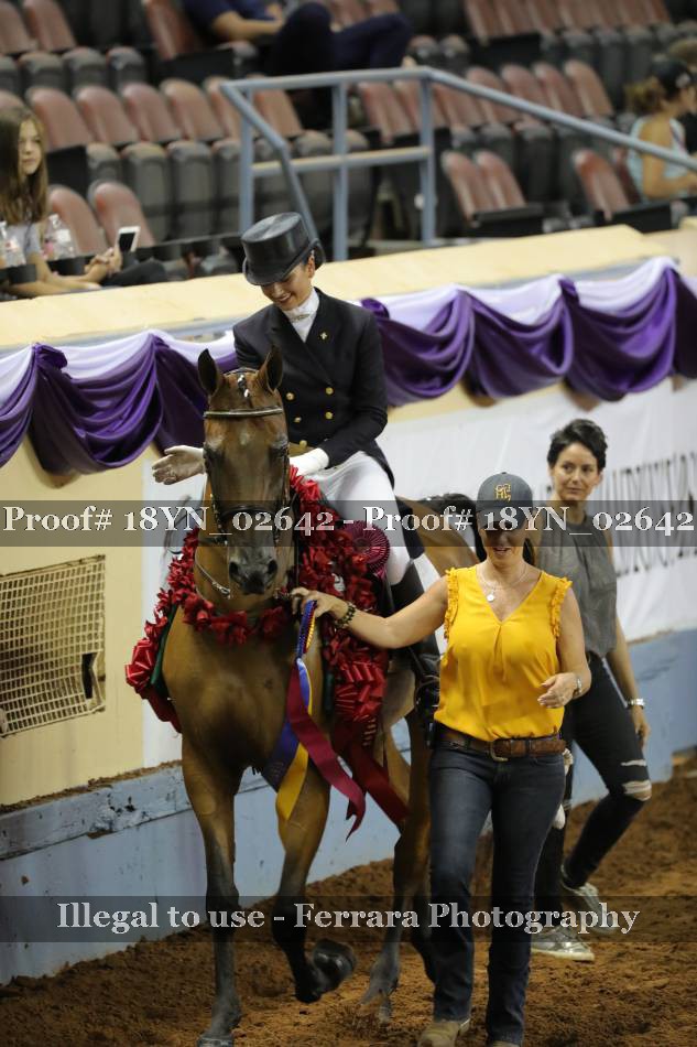 Proof 18YN_02642