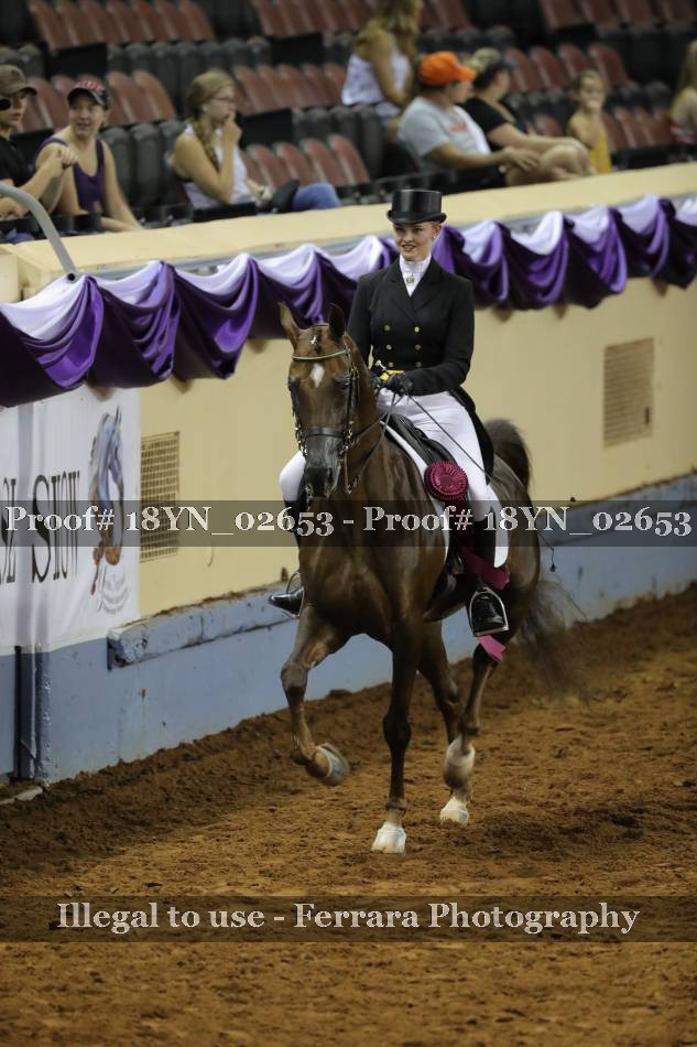 Proof 18YN_02653