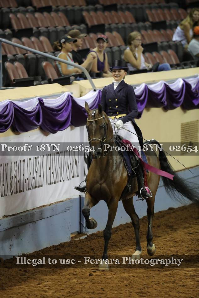 Proof 18YN_02654