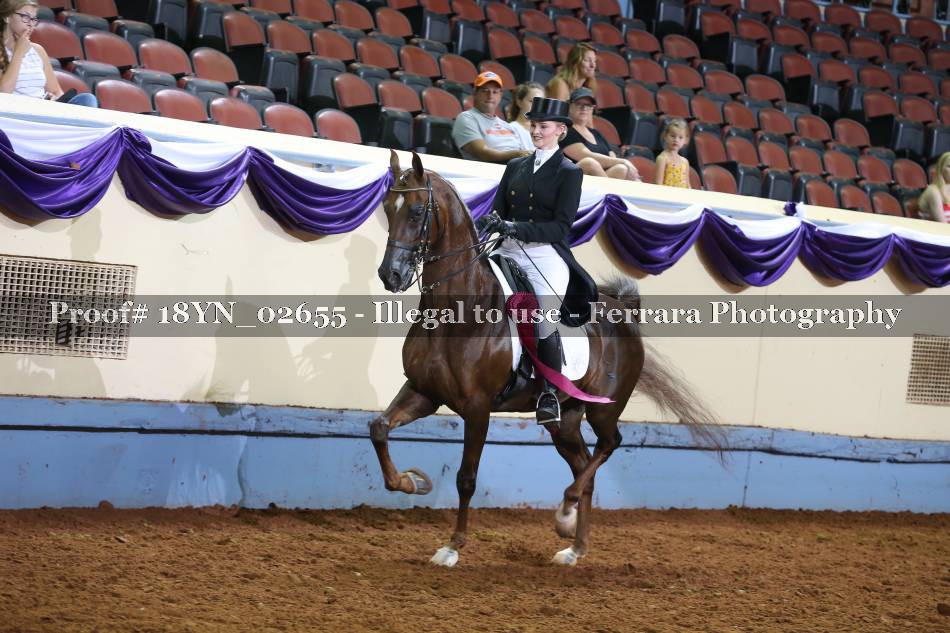 Proof 18YN_02655