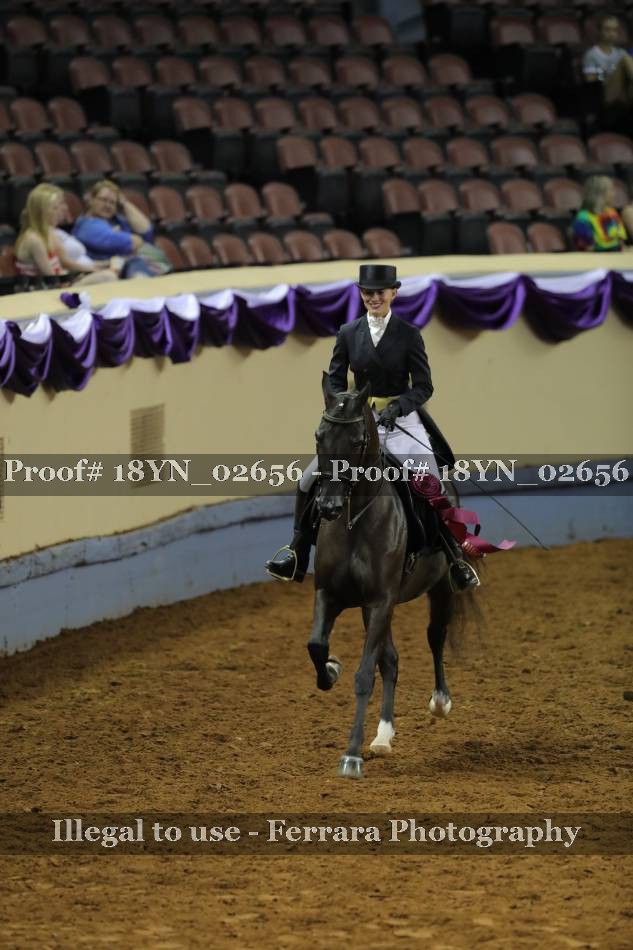 Proof 18YN_02656