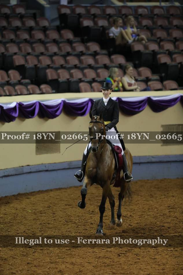 Proof 18YN_02665