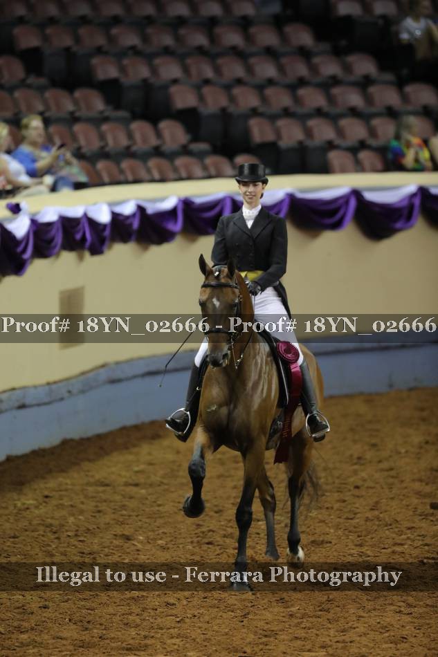 Proof 18YN_02666