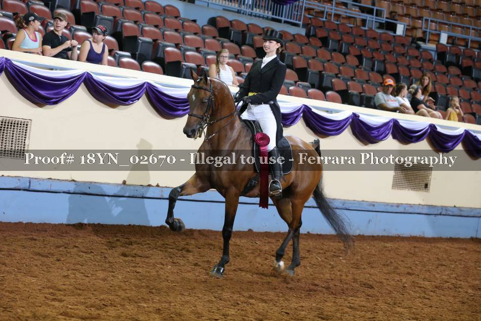 Proof 18YN_02670