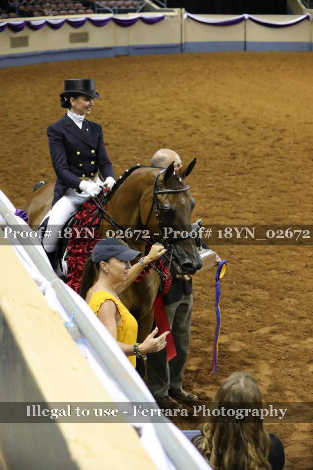 Proof 18YN_02672