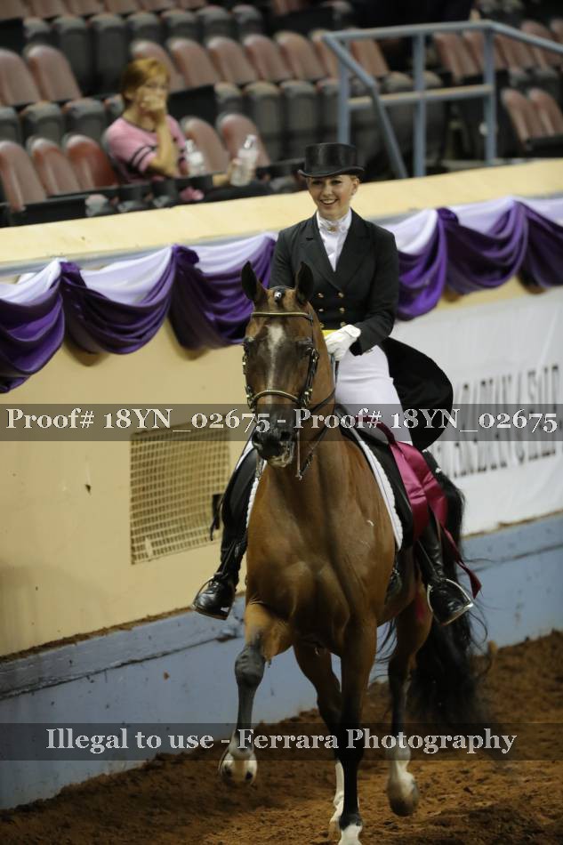 Proof 18YN_02675