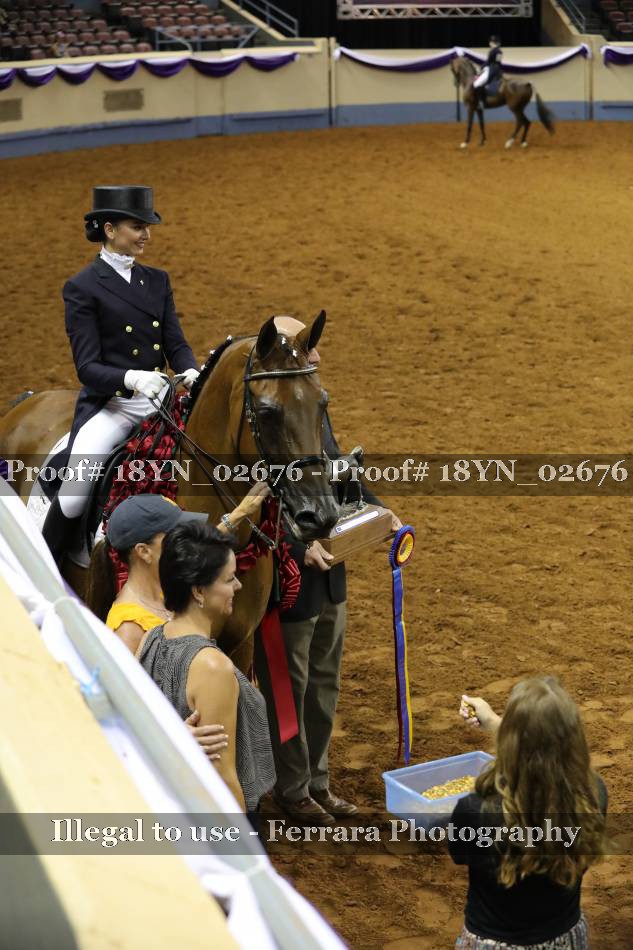 Proof 18YN_02676