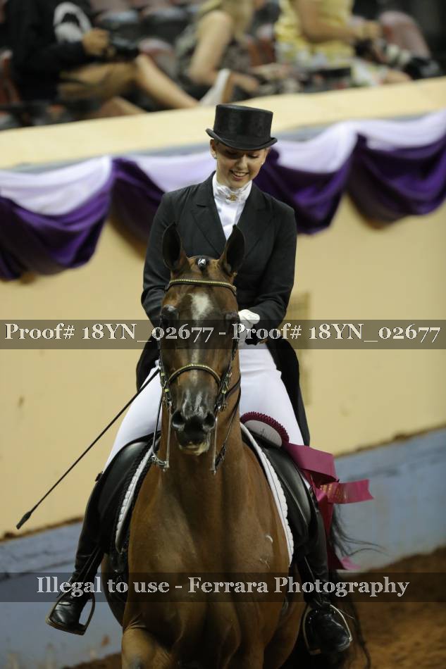 Proof 18YN_02677