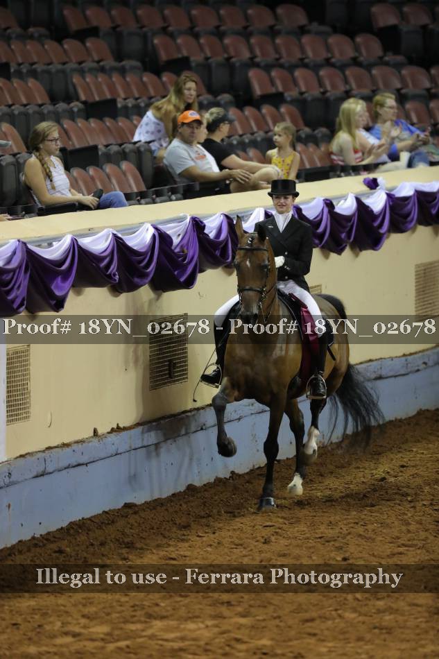 Proof 18YN_02678