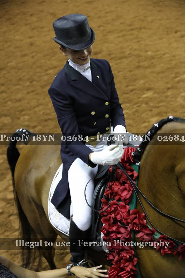 Proof 18YN_02684