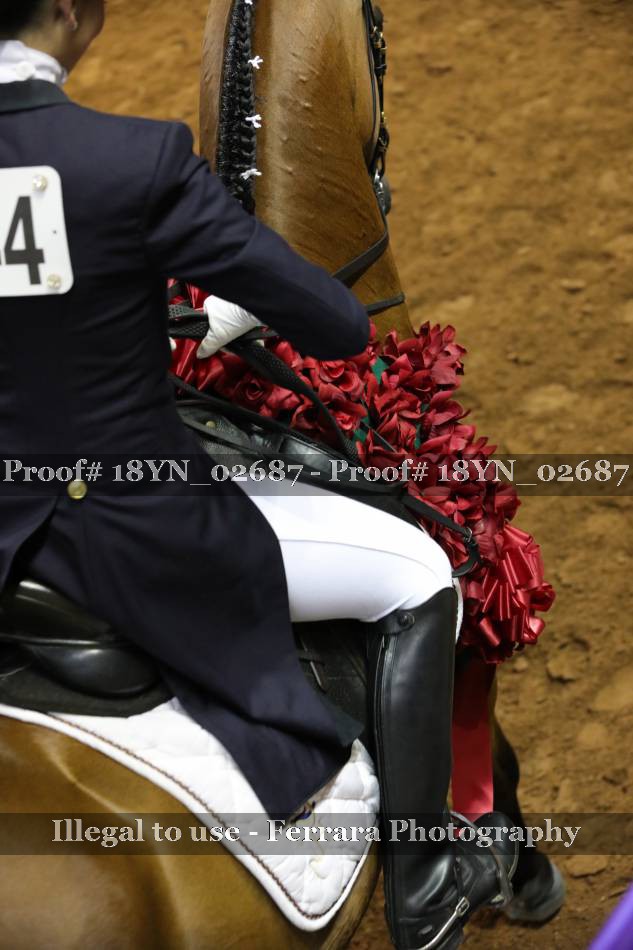 Proof 18YN_02687