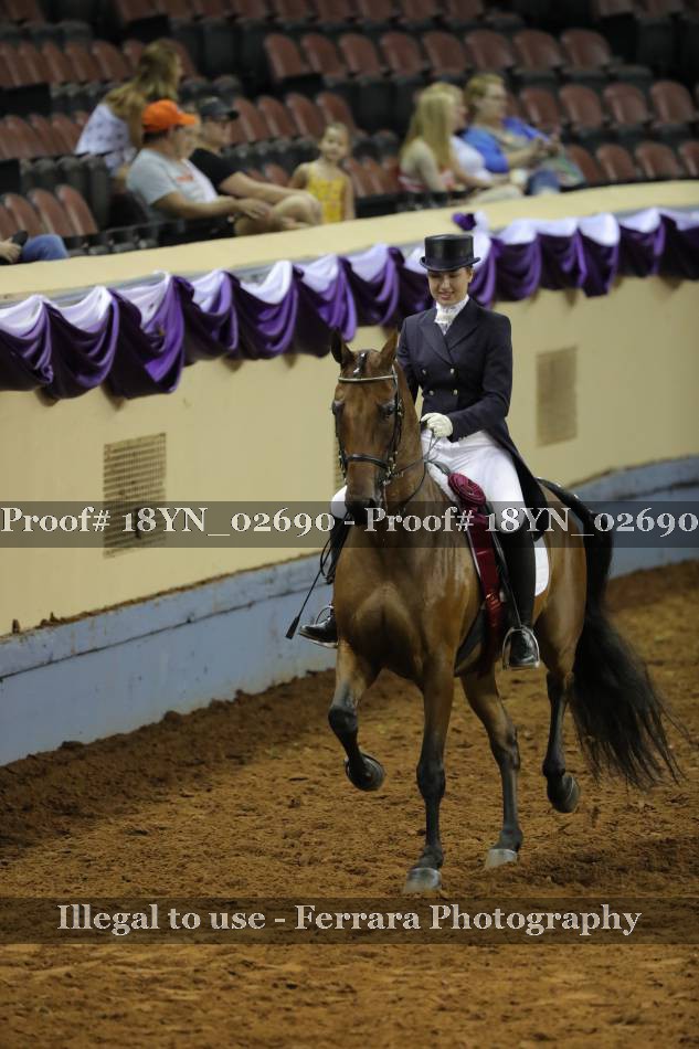 Proof 18YN_02690