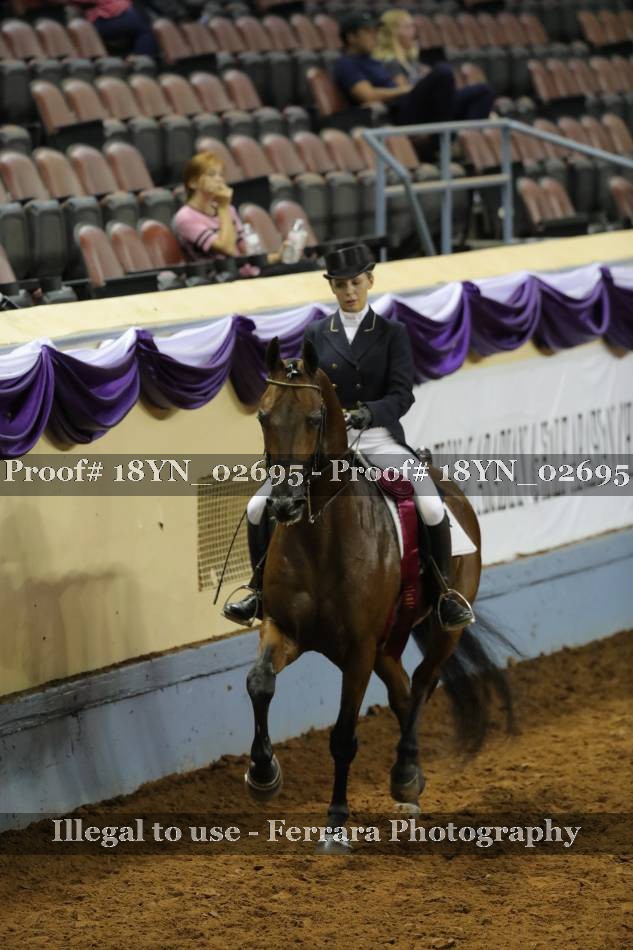 Proof 18YN_02695