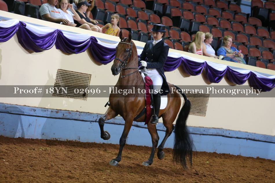 Proof 18YN_02696