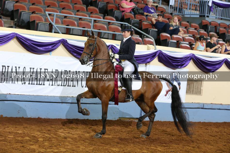 Proof 18YN_02698