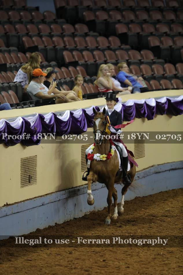 Proof 18YN_02705