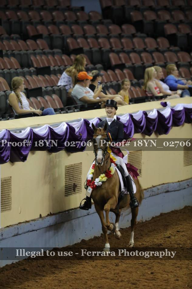 Proof 18YN_02706