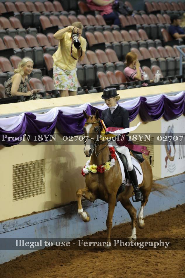Proof 18YN_02707