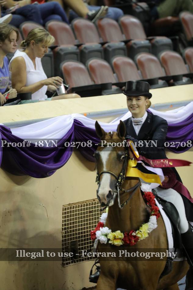 Proof 18YN_02708