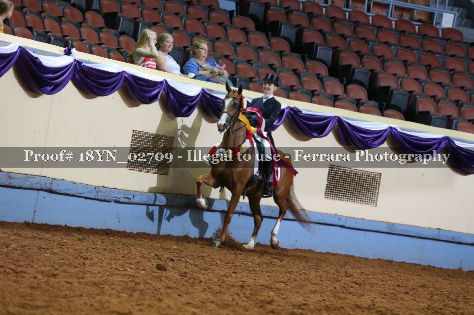 Proof 18YN_02709