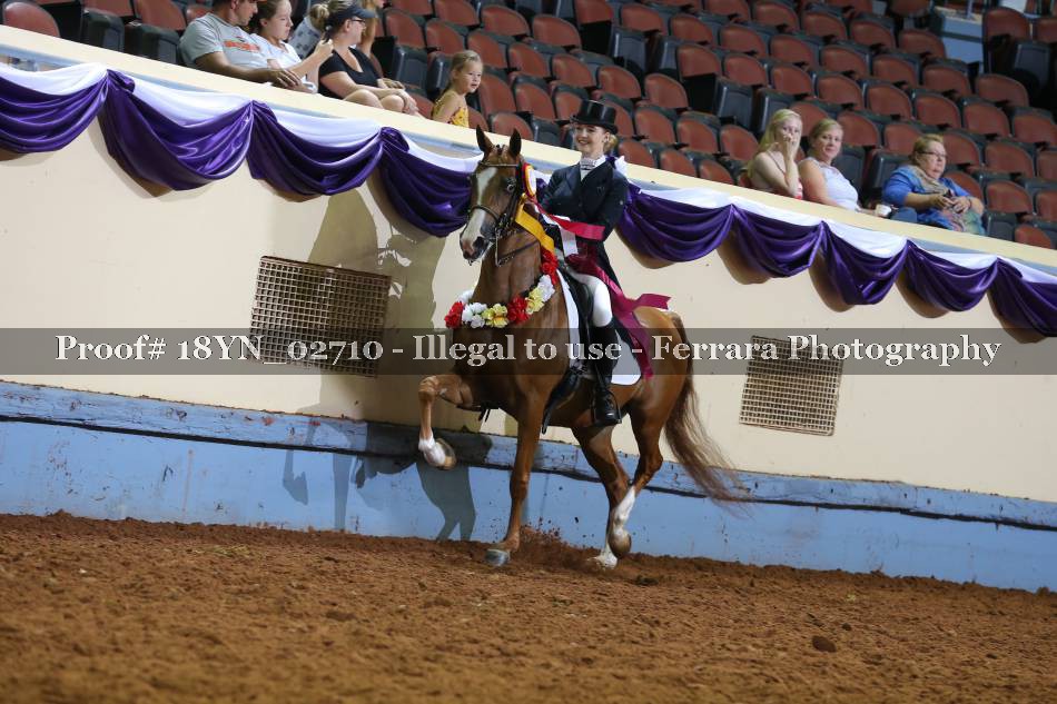 Proof 18YN_02710