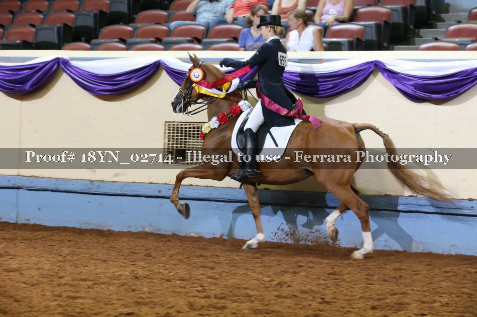 Proof 18YN_02714