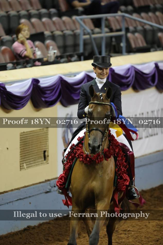 Proof 18YN_02716