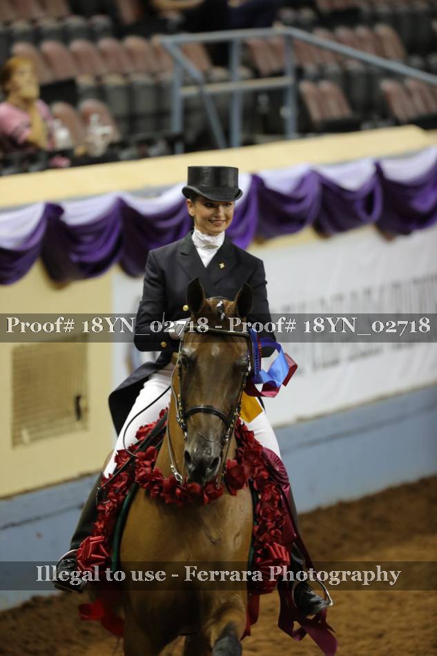 Proof 18YN_02718