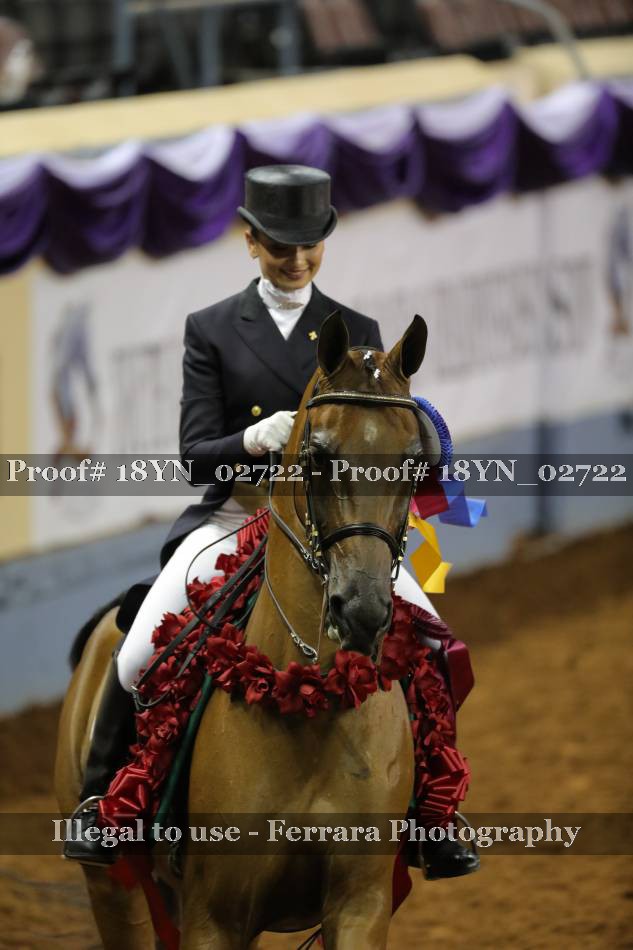 Proof 18YN_02722